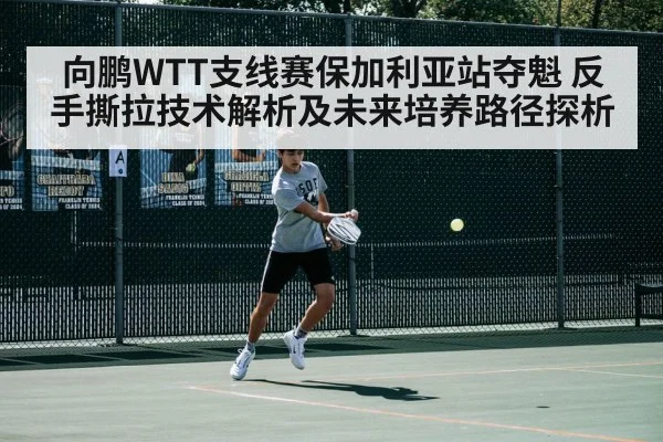 向鹏WTT支线赛保加利亚站夺魁 反手撕拉技术解析及未来培养路径探析
