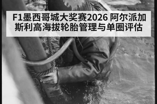 F1墨西哥城大奖赛2026 阿尔派加斯利高海拔轮胎管理与单圈评估